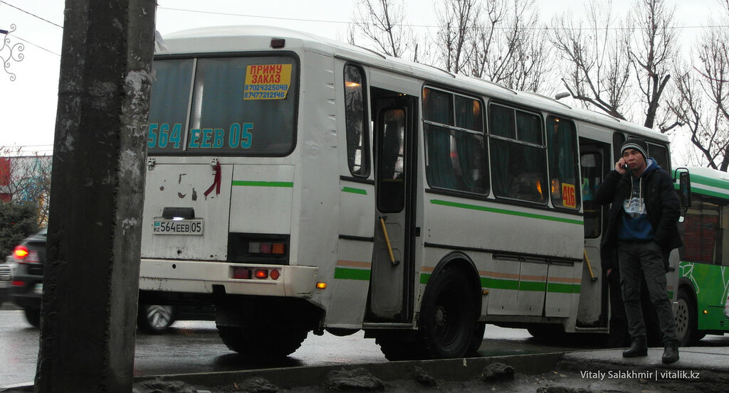 Обласні автобуси можна зловити на Саяхат, їх номер починається з цифри «4»